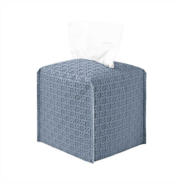 blue tissue box cover