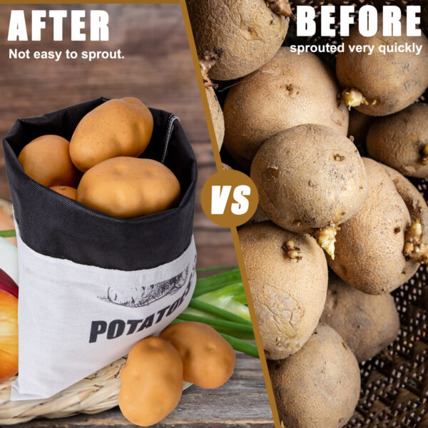 how to store potatoes without a root cellar